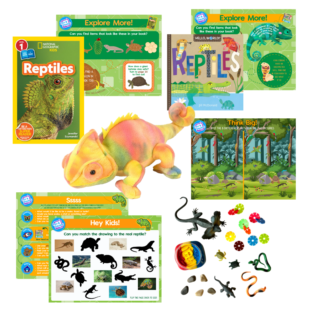 Reptile Little Big Thinker Box